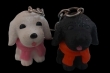 Hond 
