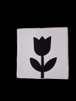 Tulp
