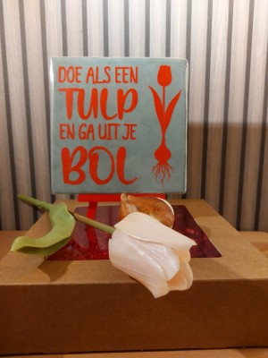 cadeau set tegel Tulp 